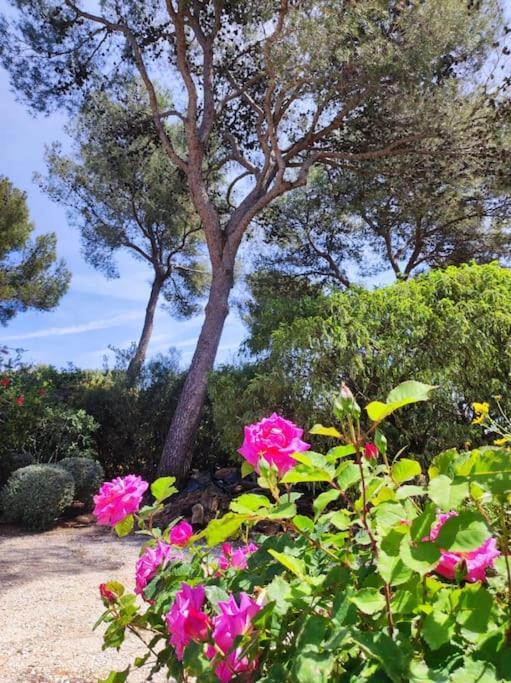 Вілла La Californienne Каркеранн Екстер'єр фото