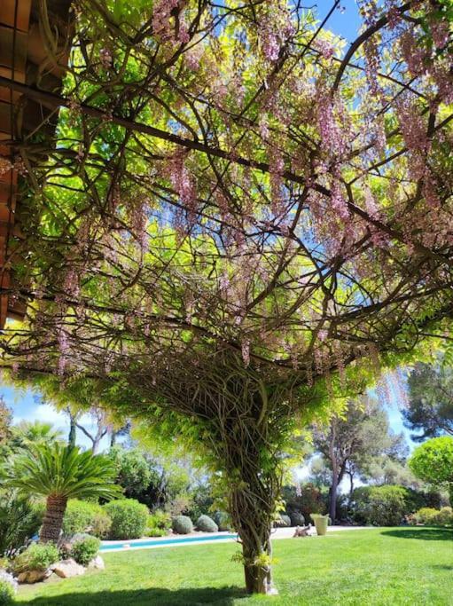 Вілла La Californienne Каркеранн Екстер'єр фото
